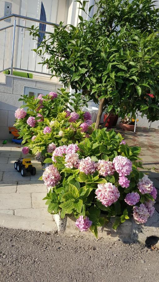 Apartments Ira Ντουμπρόβνικ Εξωτερικό φωτογραφία