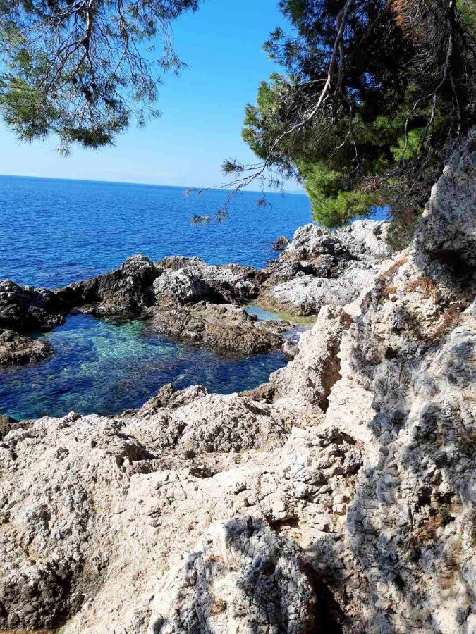 Apartments Ira Ντουμπρόβνικ Εξωτερικό φωτογραφία